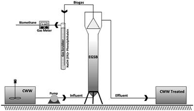 Syntrophy between bacteria and archaea enhances methane production in an EGSB bioreactor fed by cheese whey wastewater